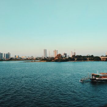 Ovary vs. Ovule: Botanical Terminology – Onestepguide