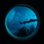 Circular aquarium window view showcasing sharks swimming with a deep blue ambiance.