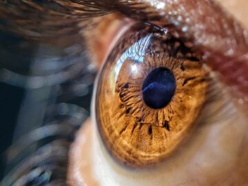 Close-up macro photo capturing the intricate details of a brown eye with eyelashes in focus.