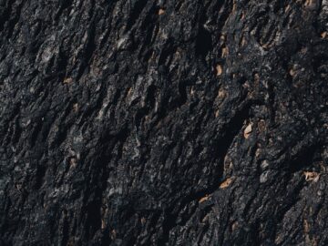 Detailed texture of a rugged volcanic rock formation showcasing unique natural patterns.