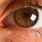 Detailed close-up of a brown eye showcasing the iris, pupil, and eyelashes.