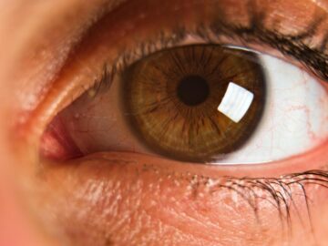Detailed close-up of a brown eye showcasing the iris, pupil, and eyelashes.