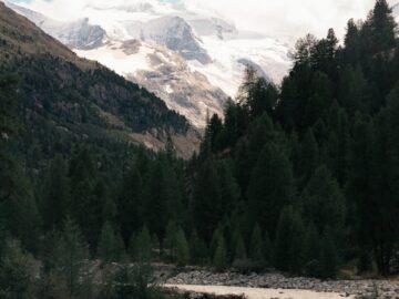 Beautiful mountain view with river and pine trees in Zermatt, Switzerland.