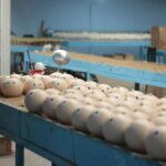Handcrafted Christmas spheres being painted in a Chignahuapan workshop.