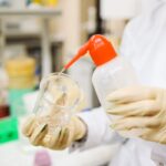 Scientist carefully pouring liquid into a beaker in a laboratory setting, wearing protective gloves.