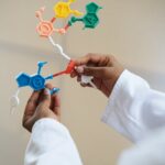 Close-up of a scientist's hands holding a colorful molecular model in a lab setting.