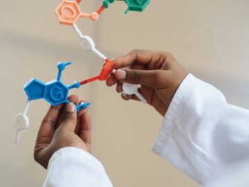 Close-up of a scientist's hands holding a colorful molecular model in a lab setting.