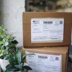 Close-up of shipping boxes with labels surrounded by houseplants indoors.