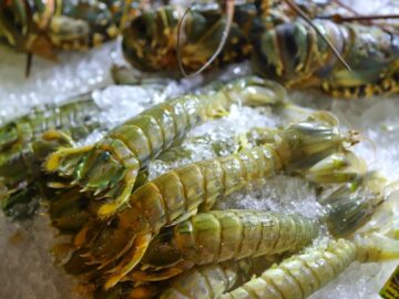 Fresh lobsters and shrimp on ice at a seafood market.