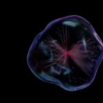 an image of a jellyfish in the dark