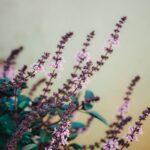 Close-up of pink flowers with green leaves on a pastel background, capturing natural beauty.
