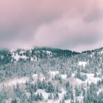 green trees covered by snow under cloudy sky during daytime