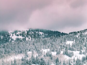 green trees covered by snow under cloudy sky during daytime