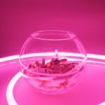 Glass bowl full of pills and vaccine for coronavirus in bright neon light