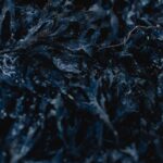 Detailed view of frosty seaweed showcasing winter texture and natural patterns.