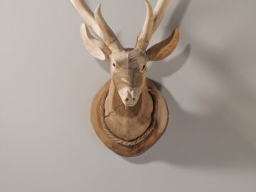 A wooden deer head sculpture with antlers mounted on a wall, casting a shadow.