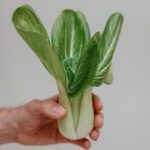 Close-up of a hand holding fresh green bok choy against a neutral background.