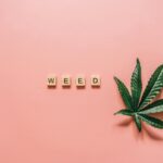 Cannabis leaf with letter tiles spelling 'WEED' on a pink background, ideal for lifestyle or health topics.