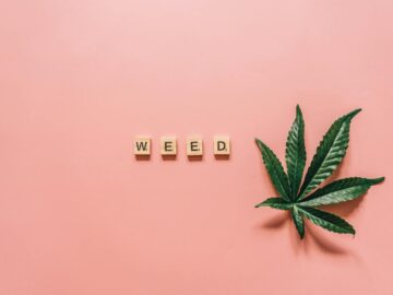 Cannabis leaf with letter tiles spelling 'WEED' on a pink background, ideal for lifestyle or health topics.