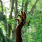a hand reaching up into the air with trees in the background