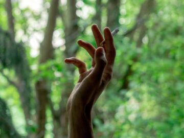 a hand reaching up into the air with trees in the background