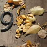 a close up of a number on a piece of wood