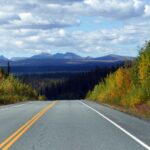 gray concrete road between green trees under white clouds and blue sky during daytime