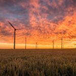 landscape photography of grass field with windmills under orange sunset