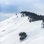 green trees on mountain during daytime