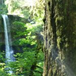 a waterfall in the middle of a lush green forest