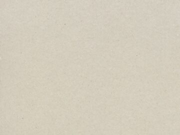 white wall paint with black line
