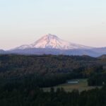 a view of a mountain with trees in the foreground