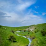 a stream running through a lush green field