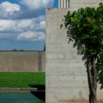 a tree in front of a concrete building
