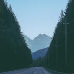 a road with trees and mountains in the background