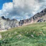 a group of animals grazing on a lush green hillside