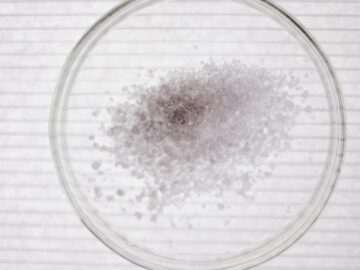 High-angle view of salt crystals in a petri dish, perfect for science stock images.