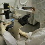 Healthcare professional examining specimen under microscope in laboratory setting.