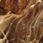 Close-up of textured sandstone patterns with earthy tones and fine details.