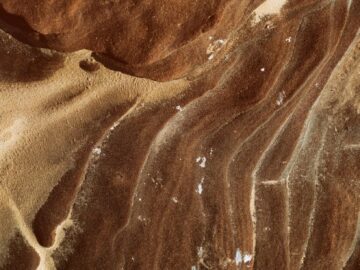 Close-up of textured sandstone patterns with earthy tones and fine details.