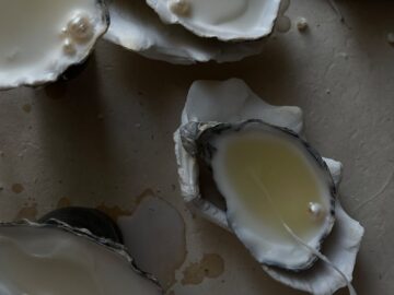 Artistic shot of opened oysters revealing pearls, emphasizing texture and contrast.