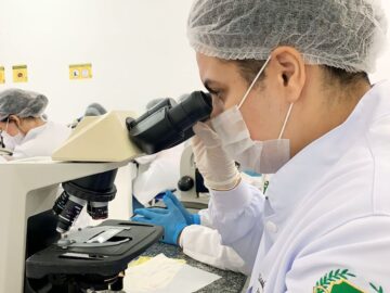 A focused lab technician examines samples under a microscope in a clinical laboratory environment.