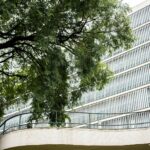 Low angle shot of a modern office building with tree canopy providing contrast.