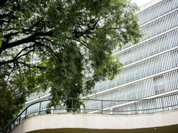 Low angle shot of a modern office building with tree canopy providing contrast.