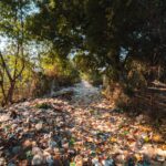 A forest pathway in Myanmar covered with plastic pollution and litter amidst trees.