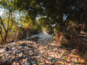 A forest pathway in Myanmar covered with plastic pollution and litter amidst trees.