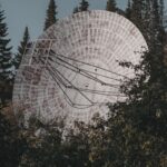 Aerial satellite dish surrounded by trees, blending technology with nature.