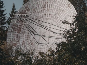 Aerial satellite dish surrounded by trees, blending technology with nature.