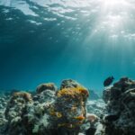 Explore the vibrant coral reefs and diverse marine life in the crystal-clear waters of the Maldives.