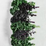 A vertical shot of fresh green and purple kale leaves on a white background.